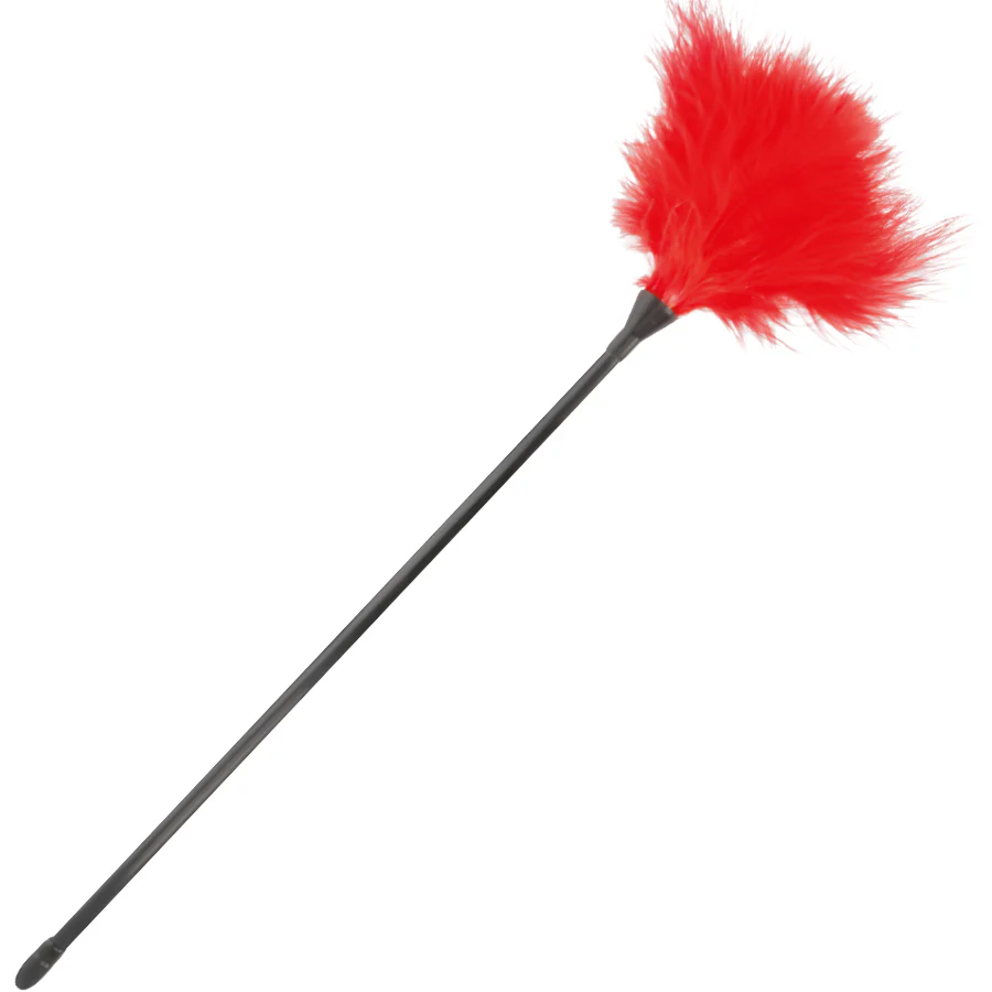 Imagem do produto 1