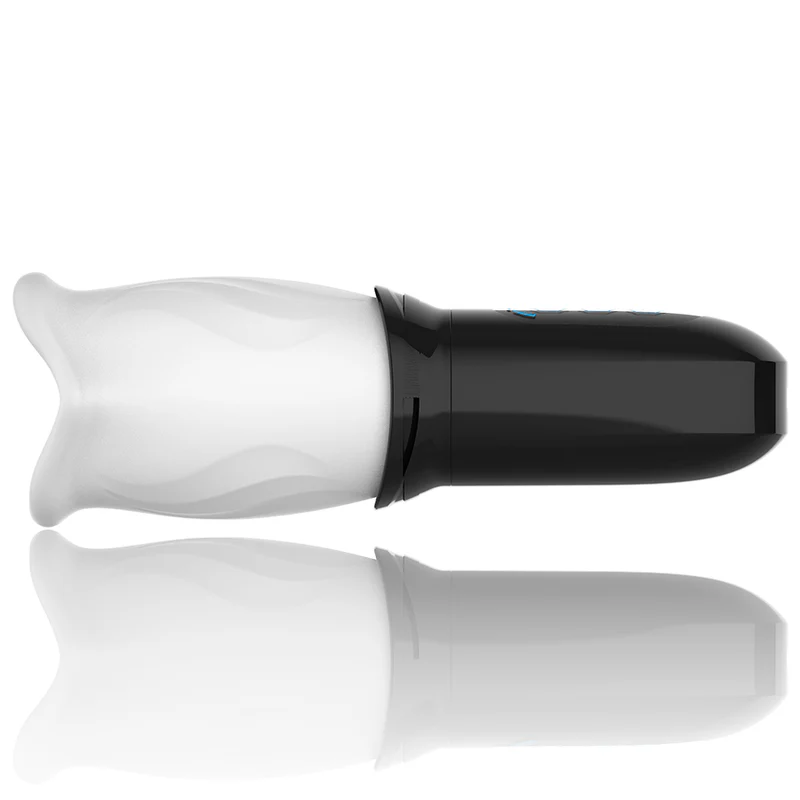 Miniatura 6